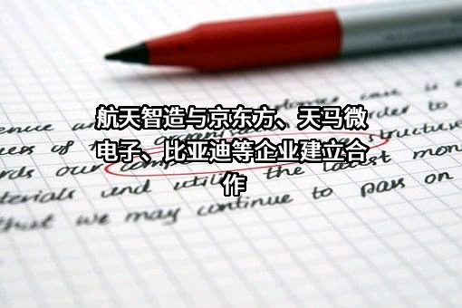 厦门天马微电子有限公司