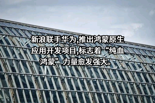 北京新浪互联信息服务有限公司