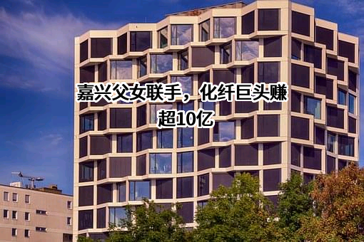 桐昆集团股份有限公司