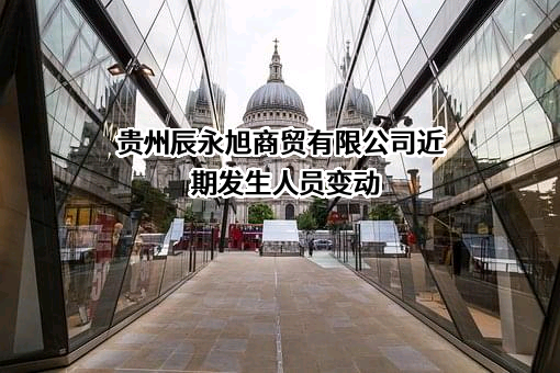 贵州辰永旭商贸有限公司