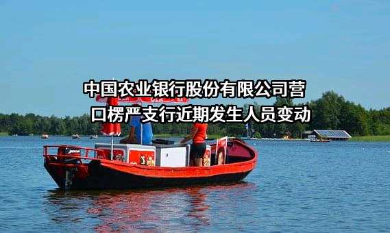 中国农业银行股份有限公司营口楞严支行