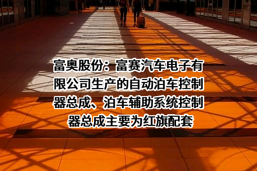 富赛汽车电子有限公司