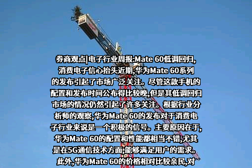 华为技术有限公司