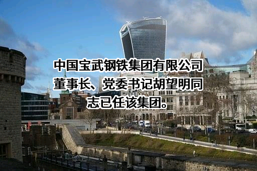 中国宝武钢铁集团有限公司
