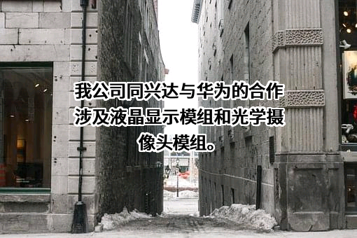 深圳同兴达科技股份有限公司