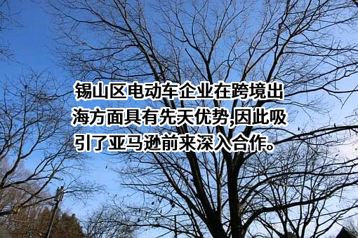 亚马逊（中国）投资有限公司