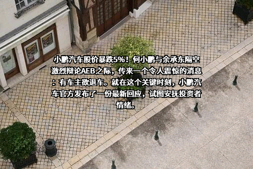 广州橙行智动汽车科技有限公司