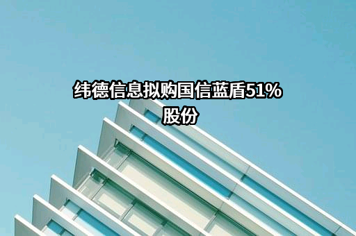 广东纬德信息科技股份有限公司