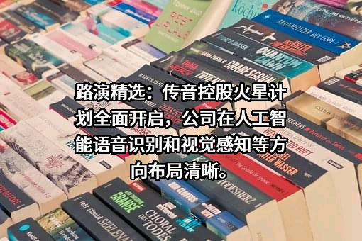 深圳传音控股股份有限公司