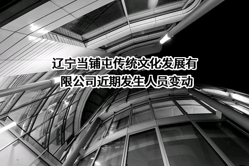 辽宁当铺屯传统文化发展有限公司