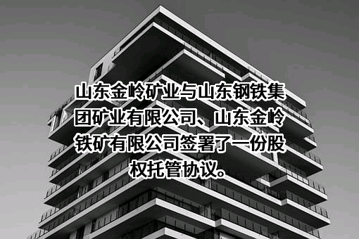 山东金岭铁矿有限公司