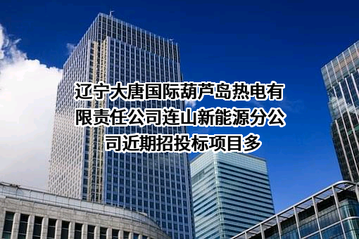 辽宁大唐国际葫芦岛热电有限责任公司连山新能源分公司