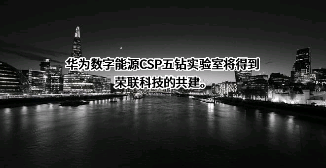 荣联科技集团股份有限公司
