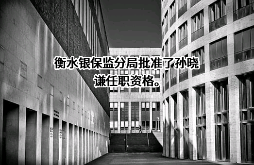 中国人寿财产保险股份有限公司河北省分公司