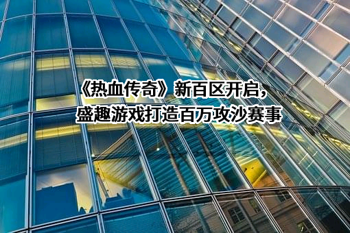 盛趣信息技术（上海）有限公司