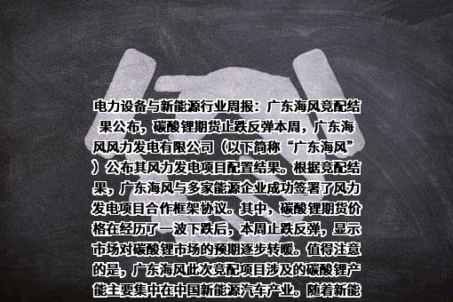 上海璞泰来新能源科技股份有限公司