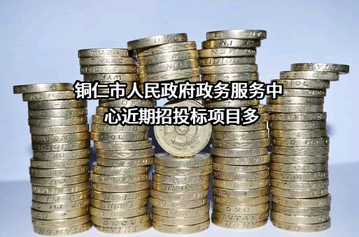 铜仁市人民政府政务服务中心近期招投标项目多