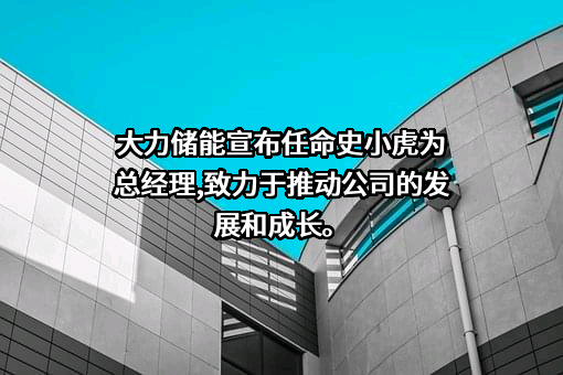 大力电工襄阳股份有限公司
