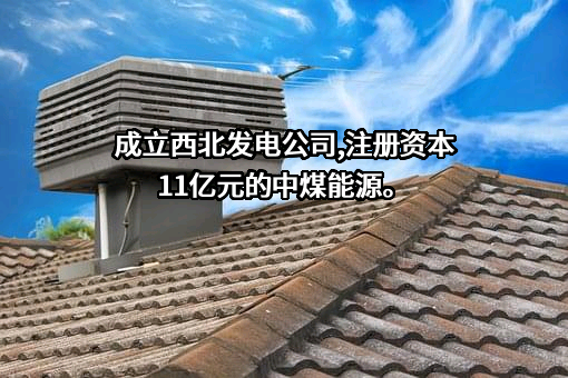 中国中煤能源股份有限公司