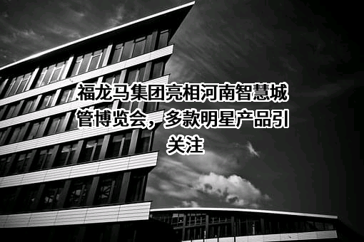 福龙马集团股份有限公司