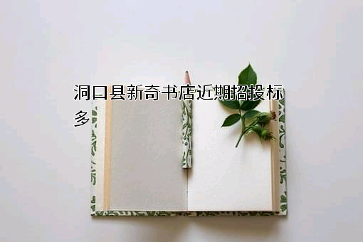 洞口县新奇书店