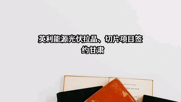 英利能源（中国）有限公司