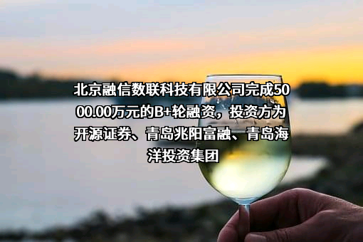 北京融信数联科技有限公司