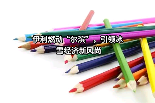 哈尔滨冰雪大世界股份有限公司