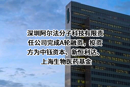 深圳阿尔法分子科技有限责任公司