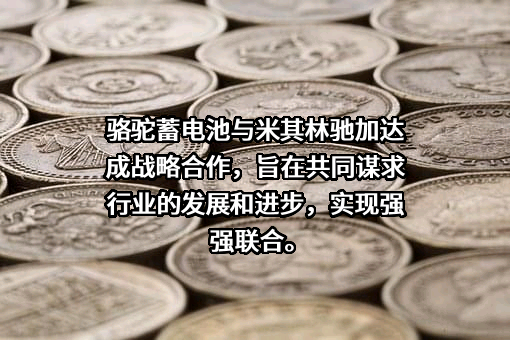 西安驰加电气自动化有限公司