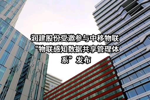 润建股份有限公司