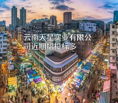 云南天星实业有限公司近期招投标项目多