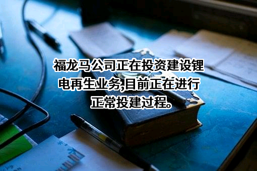 福龙马集团股份有限公司