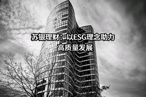苏银理财有限责任公司