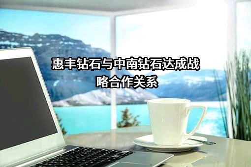 中南钻石有限公司