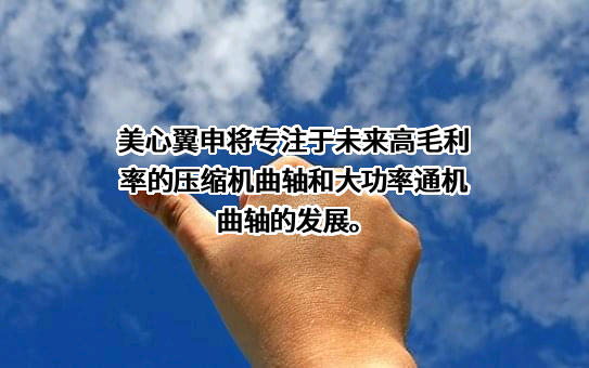 重庆美心翼申机械股份有限公司