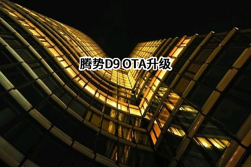 深圳腾势新能源汽车有限公司