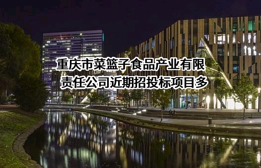 重庆市菜篮子食品产业有限责任公司近期招投标项目多