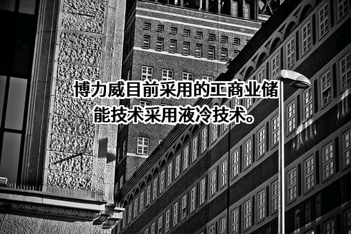 广东博力威科技股份有限公司