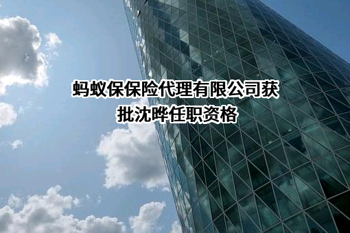 蚂蚁保保险代理有限公司