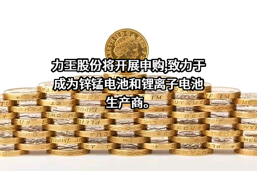 广东力王新能源股份有限公司
