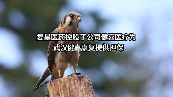 健嘉医疗投资管理有限公司