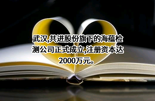 深圳市共进电子股份有限公司