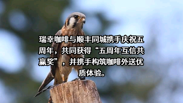 瑞幸咖啡（中国）有限公司
