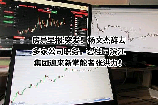 深圳市碧桂园房地产投资有限公司