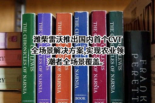 山东潍柴雷沃传动有限公司