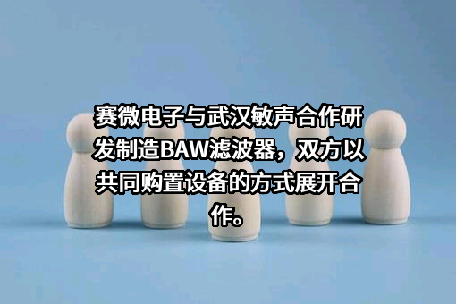 北京赛微电子股份有限公司