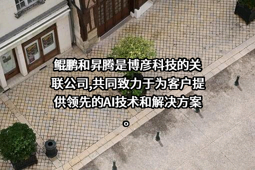博彦科技股份有限公司
