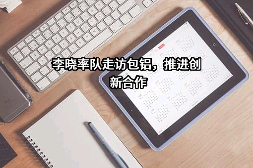 包头铝业有限公司