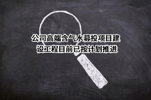 吉林泉阳泉股份有限公司